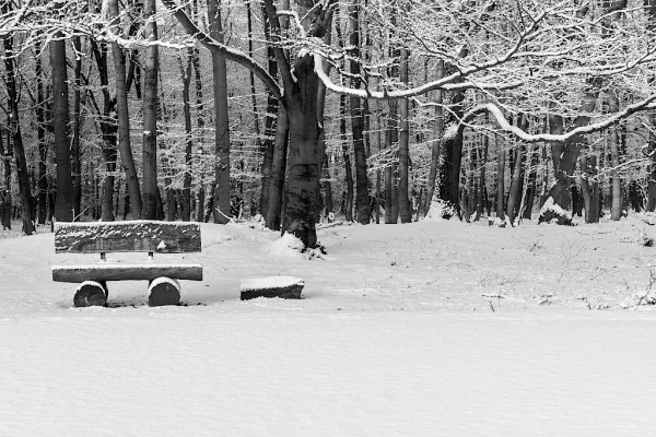 bankje in de sneeuw in het Brachterwald